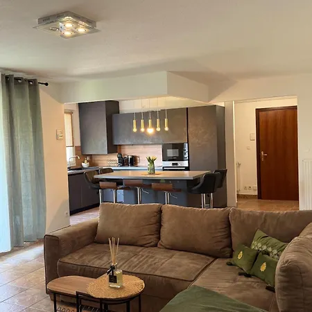 Apartment Borders Loft 2 Minutes From Basel- Near Airport Saint-Louis (Haut-Rhin)
