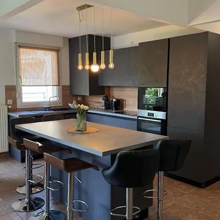 Apartment Borders Loft 2 Minutes From Basel- Near Airport *