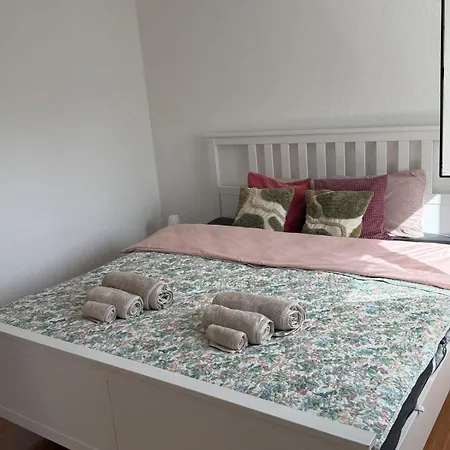 Borders Loft 2 Minutes From Basel- Near Airport Saint-Louis (Haut-Rhin)