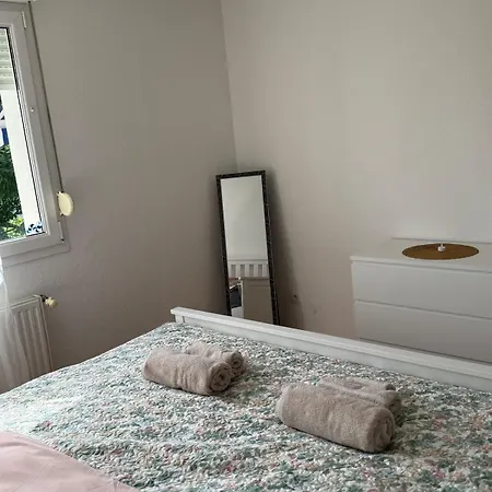 Borders Loft 2 Minutes From Basel- Near Airport Apartment *